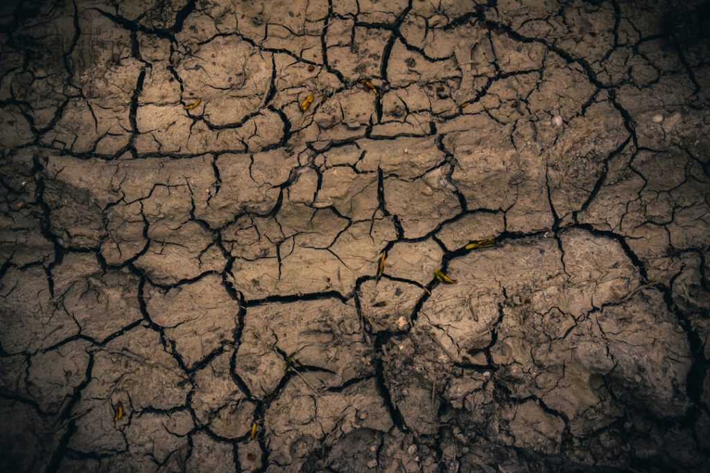 Hafermilch, Sojamilch oder Kuhmilch: Der große Klimavergleich