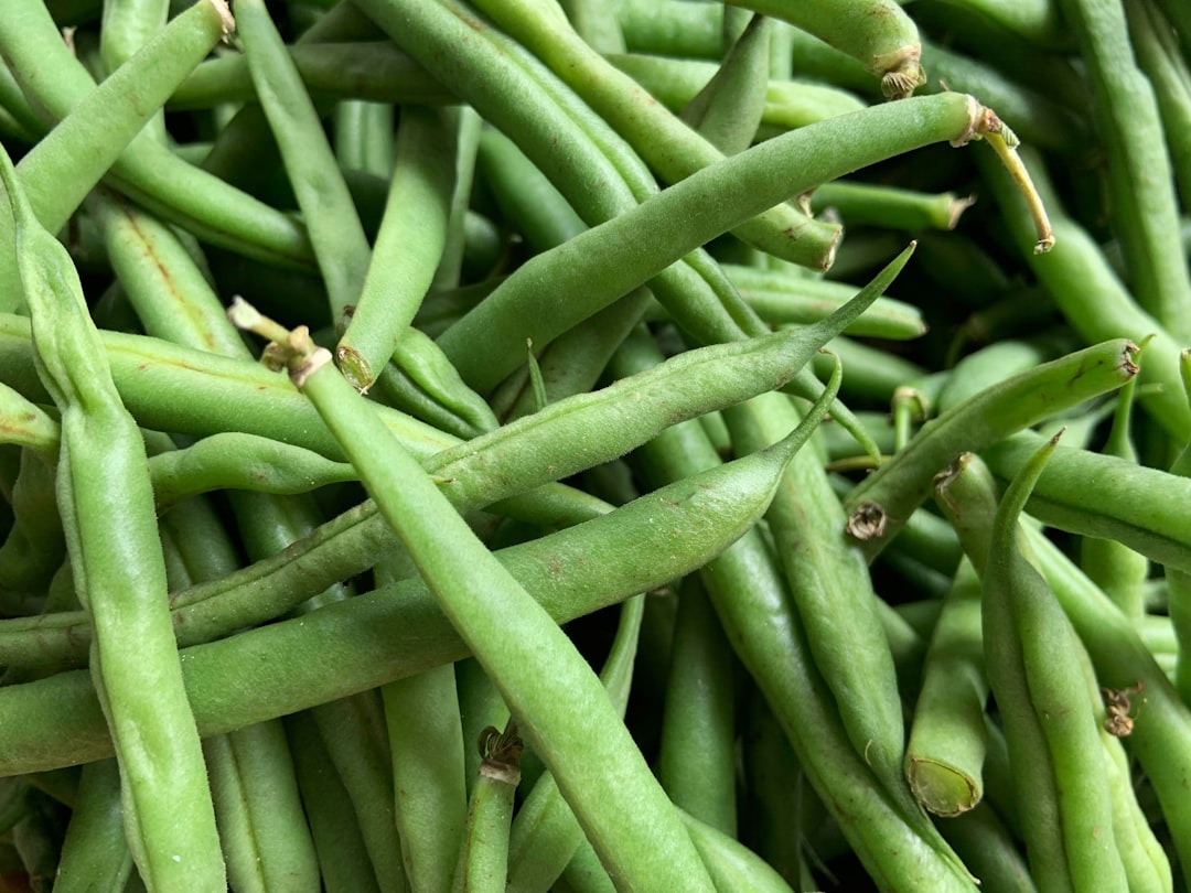 Grüne Bohnen mit Kartoffeln