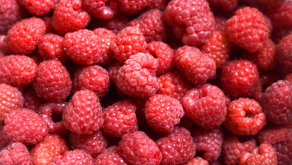 Himbeerquark