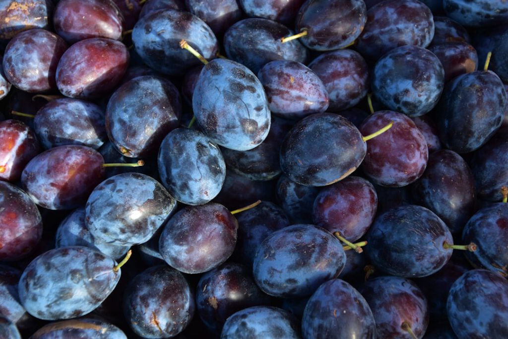 Ofenpflaumen mit Joghurt