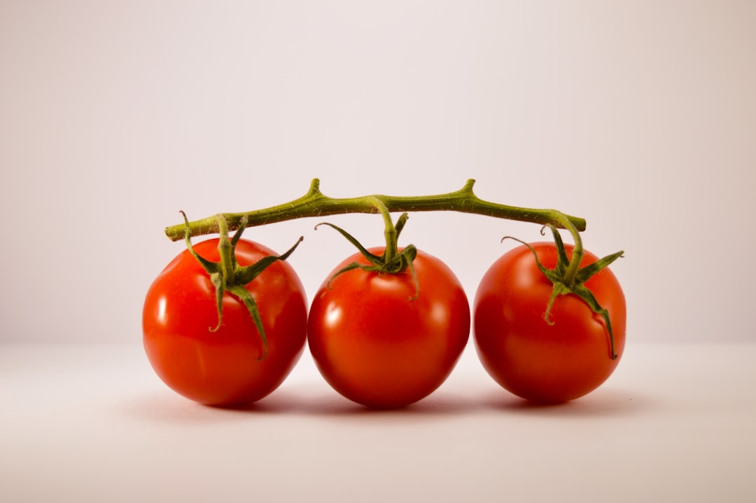 Zucchinipfanne mit Tomaten