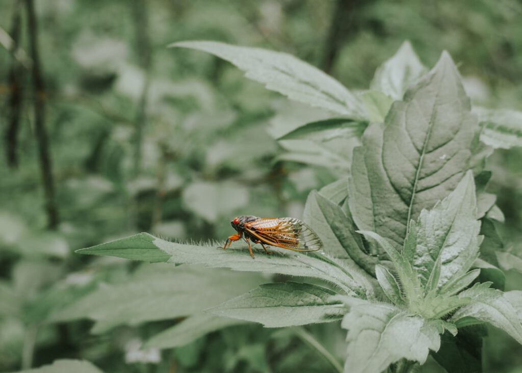 Insektensterben im Supermarkt: Welche Produkte wirklich helfen — Foto via Unsplash