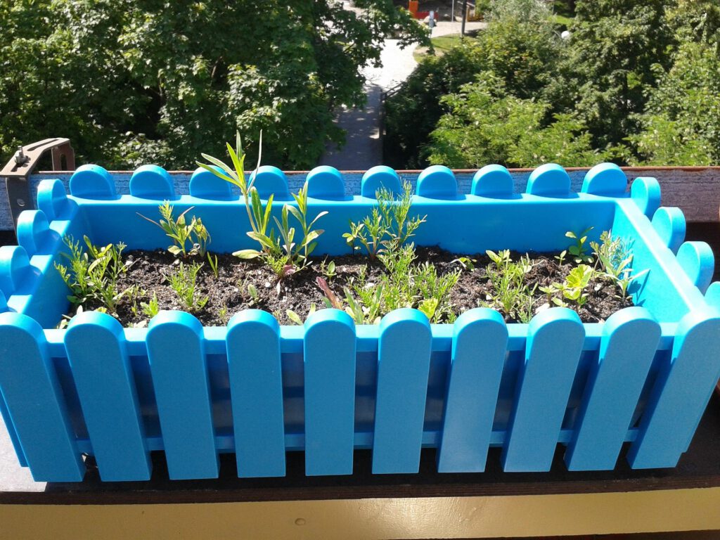 Wer Kräuter auf dem Balkon anpflanzt, hat sie immer frisch zur Hand und kann einen Insekten und Vögel unterstützen.