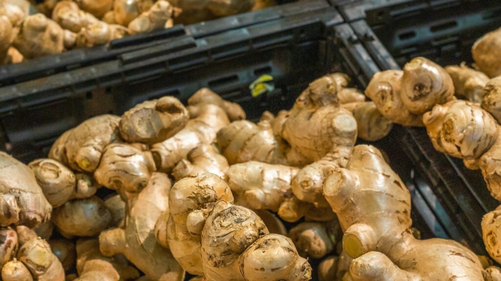 Frischer Ingwer lose in schwarzen Kisten im Lebensmittelhandel