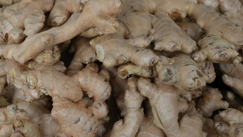 Viele ganze Ingwer-Rhizome mit hellbrauner Schale, dicht aufgeschüttet in einer Auslage