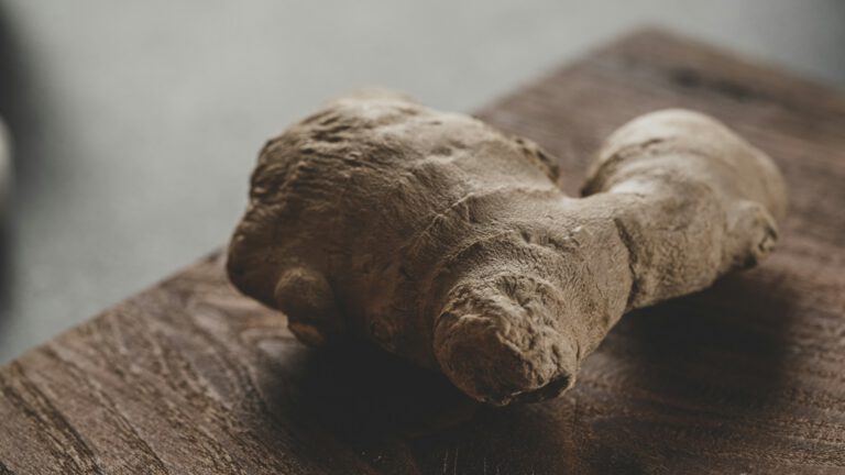 Ein ganzes Ingwer-Rhizom in Nahaufnahme auf einem dunklen Holzbrett