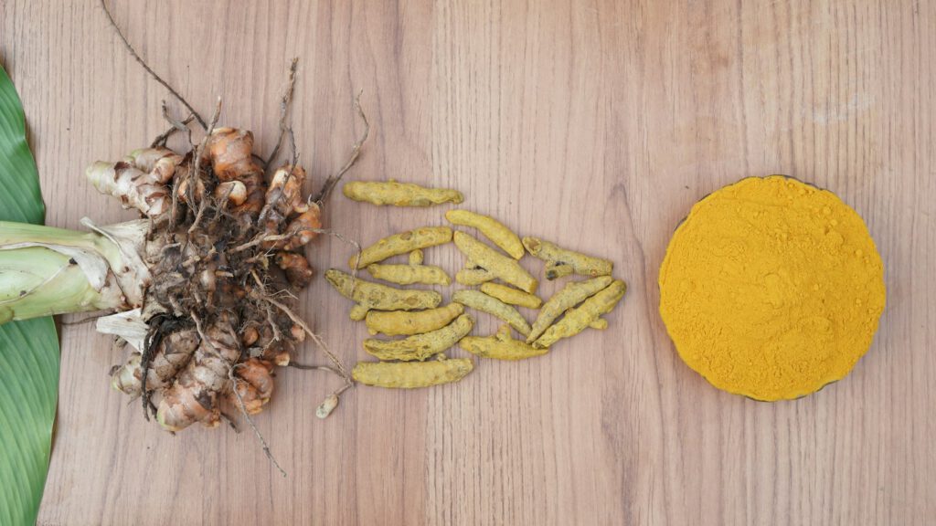 Kurkuma-Wurzelstöcke, getrocknete Stücke und Pulver auf einem Holztisch