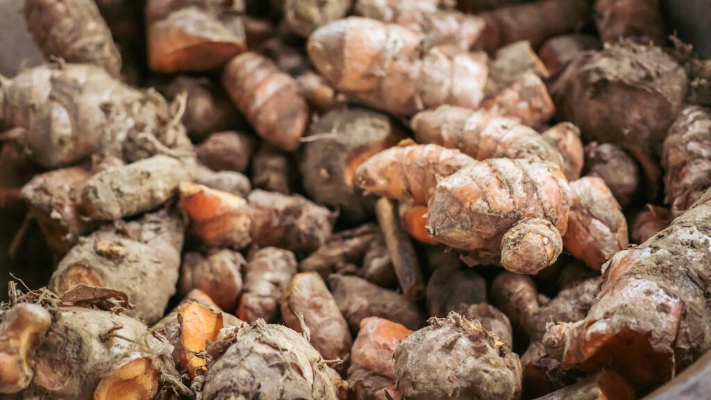 Frische Kurkuma-Wurzelstöcke mit Erde, einige angeschnitten mit orangem Inneren