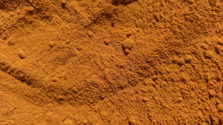 Nahaufnahme von orange-gelbem Gewürzpulver