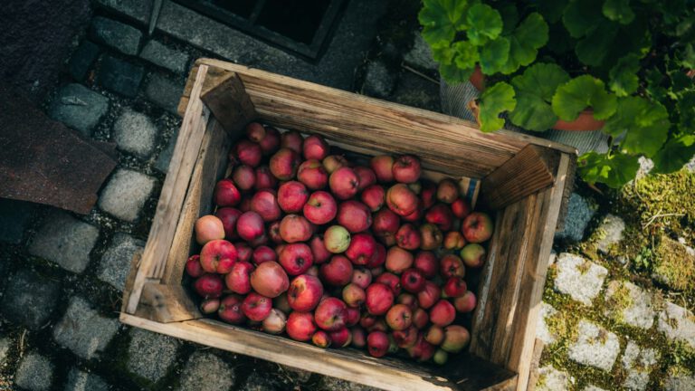 Rote Äpfel in einer Holzkiste auf Kopfsteinpflaster