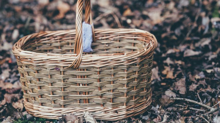 Leerer Weidenkorb auf herbstlichem Waldboden mit Laub