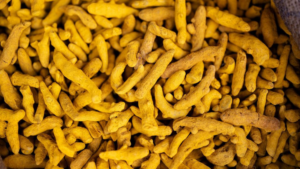 Viele getrocknete, gelbe Kurkuma-Wurzelstücke