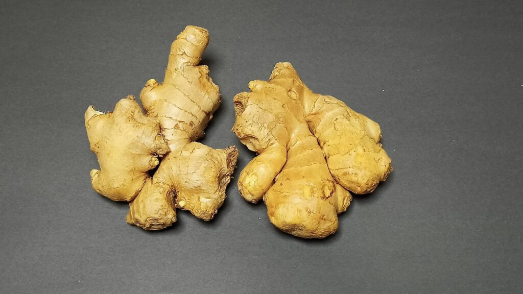 Zwei frische Ingwer-Rhizome mit heller Schale auf dunkelgrauem Untergrund